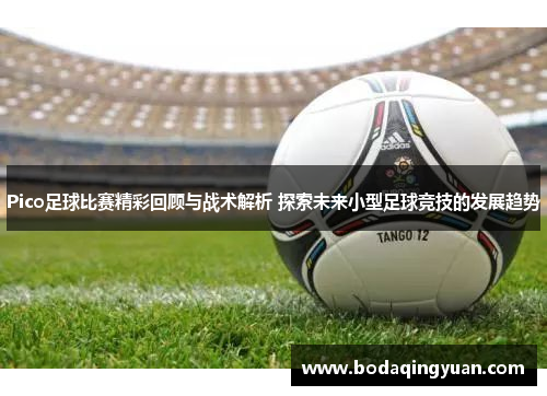 Pico足球比赛精彩回顾与战术解析 探索未来小型足球竞技的发展趋势