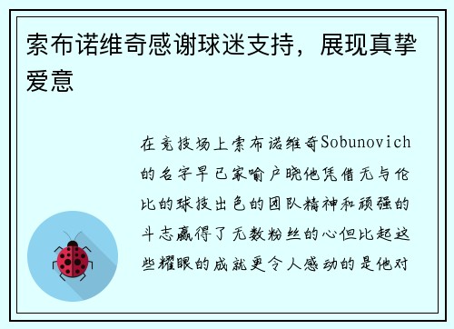索布诺维奇感谢球迷支持，展现真挚爱意